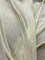 1 Yard Ivory Charmeuse Fabric Shiny Soft Polyester 58 Inch Wide for Bridal and Costume Sewing